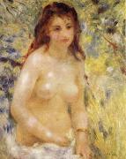Pierre-Auguste Renoir The female nude under the sun oil painting